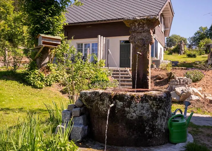 Дом отдыха Gersbach-1922 Шопфхайм